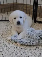 processed/ea068f01-14dc-4188-8cfc-ddf42a4f16d8/facility/c47d9b76-b68b-4227-8f8e-b7919a3fc845