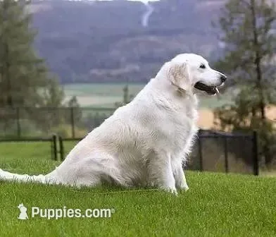 processed/ea068f01-14dc-4188-8cfc-ddf42a4f16d8/facility/d75d61e4-63dd-42c1-95f3-f1c8c361e2f3