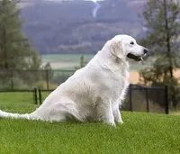 processed/ea068f01-14dc-4188-8cfc-ddf42a4f16d8/facility/d75d61e4-63dd-42c1-95f3-f1c8c361e2f3