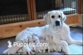 processed/ea068f01-14dc-4188-8cfc-ddf42a4f16d8/facility/e1d94bb7-034d-4ff2-82bb-8b9f88be6a97