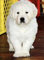 processed/ea068f01-14dc-4188-8cfc-ddf42a4f16d8/listing/224c7900-6d9a-45a4-b107-ae224b3cc93b/c8ce45bf-294b-4449-97d1-b4ce713b87d9