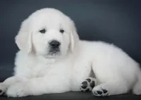 processed/ea068f01-14dc-4188-8cfc-ddf42a4f16d8/listing/3d750004-0590-4ea4-9d0e-afd1a82b4cff/3a701bdb-f967-40b0-b75a-fccc3f09c626