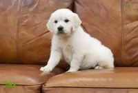 processed/ea068f01-14dc-4188-8cfc-ddf42a4f16d8/listing/3d750004-0590-4ea4-9d0e-afd1a82b4cff/883465ac-984d-42da-8a5d-1d3edd6180be