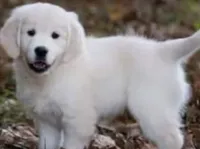 processed/ea068f01-14dc-4188-8cfc-ddf42a4f16d8/listing/3d750004-0590-4ea4-9d0e-afd1a82b4cff/ff2c2acf-e25e-46db-a7a5-d34a6ed917ea