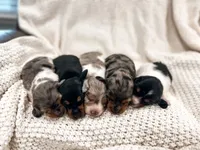 processed/ea15ac3a-f044-4faa-8dd6-c55860739f0d/facility/77be08bd-214f-4f8f-9953-2a9deb279971