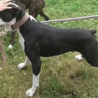 processed/ea168e10-61e5-483f-830e-559d10e032f7/facility/8224195a-021c-4fac-a742-289803418ce1