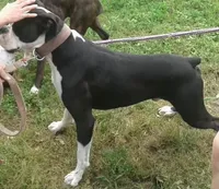 processed/ea168e10-61e5-483f-830e-559d10e032f7/facility/8224195a-021c-4fac-a742-289803418ce1