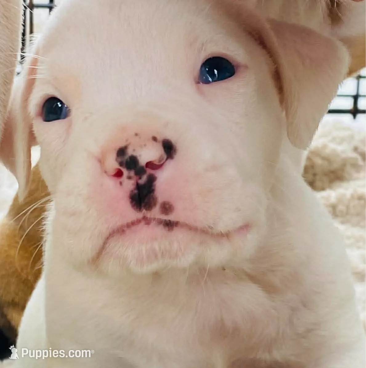 processed/ea168e10-61e5-483f-830e-559d10e032f7/listing/a7754d66-19af-495c-96cd-c6790bf31634/60a4a87d-65a5-4047-8b82-8e8e85e3e128