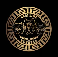 processed/ea16f09f-6919-4d13-9fe3-c58042eda31d/facility/227b0f36-e6ac-4011-890c-fbc99206fa37