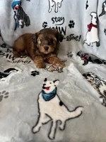 processed/ea1c1289-ca40-4274-aaea-9c86499c4cb7/listing/0c1c8aa6-141a-4037-9e40-2440f9f1c0b6/1fe8fd55-0c91-464c-9f2d-ad2e1c639c39