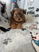 processed/ea1c1289-ca40-4274-aaea-9c86499c4cb7/listing/0c1c8aa6-141a-4037-9e40-2440f9f1c0b6/2aa8a75d-89bf-41b4-80c5-7c6309373500