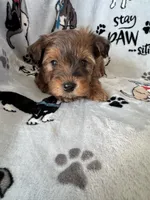 processed/ea1c1289-ca40-4274-aaea-9c86499c4cb7/listing/0c1c8aa6-141a-4037-9e40-2440f9f1c0b6/448abbe8-5538-457d-b4e0-a3561384e947