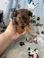 processed/ea1c1289-ca40-4274-aaea-9c86499c4cb7/listing/0c1c8aa6-141a-4037-9e40-2440f9f1c0b6/4c4ca69f-4503-4f1a-b461-402a5d102320