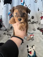 processed/ea1c1289-ca40-4274-aaea-9c86499c4cb7/listing/0c1c8aa6-141a-4037-9e40-2440f9f1c0b6/783a0bd0-df83-4d8e-8a10-9c882773b309