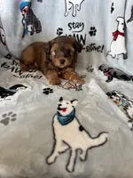 processed/ea1c1289-ca40-4274-aaea-9c86499c4cb7/listing/0c1c8aa6-141a-4037-9e40-2440f9f1c0b6/d913d617-6792-470b-80f1-3a8883dd1d51