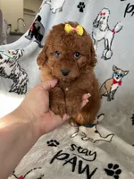 processed/ea1c1289-ca40-4274-aaea-9c86499c4cb7/listing/306afd1e-26b3-404b-b0da-fa71e84ecc80/4f0b170d-cbf3-4763-8328-44e87ea74e1a