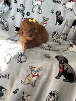 processed/ea1c1289-ca40-4274-aaea-9c86499c4cb7/listing/306afd1e-26b3-404b-b0da-fa71e84ecc80/624203ea-07a8-48f7-88cc-6ffffcf0e5dc