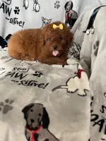 processed/ea1c1289-ca40-4274-aaea-9c86499c4cb7/listing/306afd1e-26b3-404b-b0da-fa71e84ecc80/68e525dd-5d5d-4d46-ae8d-87ab60ee8cf2