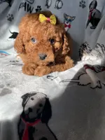 processed/ea1c1289-ca40-4274-aaea-9c86499c4cb7/listing/306afd1e-26b3-404b-b0da-fa71e84ecc80/6e3c41ae-345b-4d42-9da7-84239d73d2c2