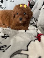 processed/ea1c1289-ca40-4274-aaea-9c86499c4cb7/listing/306afd1e-26b3-404b-b0da-fa71e84ecc80/b0399535-4640-42e0-aef6-8a632ad583c5