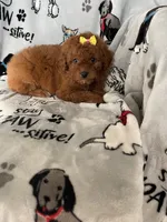 processed/ea1c1289-ca40-4274-aaea-9c86499c4cb7/listing/306afd1e-26b3-404b-b0da-fa71e84ecc80/ce1b098f-fd5d-41f6-a39e-d65ec71c0164