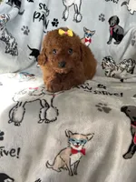 processed/ea1c1289-ca40-4274-aaea-9c86499c4cb7/listing/306afd1e-26b3-404b-b0da-fa71e84ecc80/e50c2a58-94bc-4478-bed1-4351d91688d5