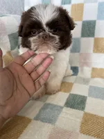 processed/ea1c1289-ca40-4274-aaea-9c86499c4cb7/listing/574d2b87-c2f0-47ab-a280-4d895e2133fb/31c6020d-2db6-48e4-9b85-646eea05e7e3