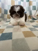 processed/ea1c1289-ca40-4274-aaea-9c86499c4cb7/listing/574d2b87-c2f0-47ab-a280-4d895e2133fb/32d1a42e-42cc-4d8e-bb5c-b60e892fb69d