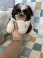 processed/ea1c1289-ca40-4274-aaea-9c86499c4cb7/listing/574d2b87-c2f0-47ab-a280-4d895e2133fb/ae504bc7-8def-4ccd-a1b6-eb11f5b3ec89