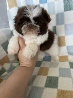 processed/ea1c1289-ca40-4274-aaea-9c86499c4cb7/listing/574d2b87-c2f0-47ab-a280-4d895e2133fb/cfaa6b00-645e-4276-9466-d6e3779bb5d6