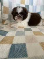 processed/ea1c1289-ca40-4274-aaea-9c86499c4cb7/listing/574d2b87-c2f0-47ab-a280-4d895e2133fb/db67048f-0ad9-40a7-bbed-81c51eeff375