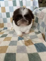 processed/ea1c1289-ca40-4274-aaea-9c86499c4cb7/listing/574d2b87-c2f0-47ab-a280-4d895e2133fb/ef96124c-7c01-40f4-a4d9-c0b4ea52d436