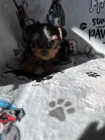 processed/ea1c1289-ca40-4274-aaea-9c86499c4cb7/listing/9e42c5a3-195a-4553-811e-cf809916b12b/4623ed0b-d069-4e12-90b8-831859dda79d