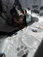 processed/ea1c1289-ca40-4274-aaea-9c86499c4cb7/listing/9e42c5a3-195a-4553-811e-cf809916b12b/7e491a3c-21a1-4747-ace6-676ba54a19f8