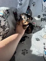 processed/ea1c1289-ca40-4274-aaea-9c86499c4cb7/listing/9e42c5a3-195a-4553-811e-cf809916b12b/c4664315-e901-4ae8-a180-7271373e898e