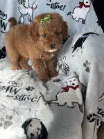 processed/ea1c1289-ca40-4274-aaea-9c86499c4cb7/listing/abccd91a-3789-4c9f-b834-9f2cd0baa4ca/15b0aa9e-b512-4f34-91b1-340487ab404f