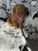 processed/ea1c1289-ca40-4274-aaea-9c86499c4cb7/listing/abccd91a-3789-4c9f-b834-9f2cd0baa4ca/24266e30-9413-44cd-85b7-e96f7696e5bc