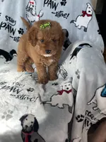 processed/ea1c1289-ca40-4274-aaea-9c86499c4cb7/listing/abccd91a-3789-4c9f-b834-9f2cd0baa4ca/32a78433-ed22-403c-91bb-9e8529fffadb