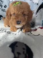 processed/ea1c1289-ca40-4274-aaea-9c86499c4cb7/listing/abccd91a-3789-4c9f-b834-9f2cd0baa4ca/4a0ae660-a43e-4f7b-a128-02b93a15f6dc