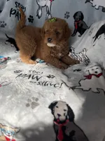 processed/ea1c1289-ca40-4274-aaea-9c86499c4cb7/listing/abccd91a-3789-4c9f-b834-9f2cd0baa4ca/920ebdc8-b863-45b1-97ed-f03a83cb088c