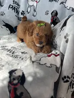 processed/ea1c1289-ca40-4274-aaea-9c86499c4cb7/listing/abccd91a-3789-4c9f-b834-9f2cd0baa4ca/ab6441cd-7674-4c2e-813e-926c910f8a16