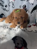 processed/ea1c1289-ca40-4274-aaea-9c86499c4cb7/listing/abccd91a-3789-4c9f-b834-9f2cd0baa4ca/f129911b-11dc-4fe4-b598-d7aa5e91b8c0