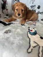 processed/ea1c1289-ca40-4274-aaea-9c86499c4cb7/listing/de416add-d947-4e38-a994-ca52daab7687/5caf423c-5f17-4181-8631-20360b8e6bd9