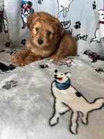 processed/ea1c1289-ca40-4274-aaea-9c86499c4cb7/listing/de416add-d947-4e38-a994-ca52daab7687/91eda453-44b6-4500-aa5f-0cdf5a77f613