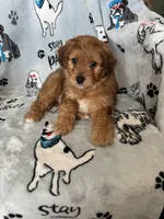 processed/ea1c1289-ca40-4274-aaea-9c86499c4cb7/listing/de416add-d947-4e38-a994-ca52daab7687/cca42a52-ee64-4ffa-acf7-c5458fc191b2