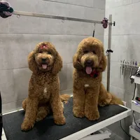 processed/ea27770b-90d5-4a13-9ef0-90eac914d33d/facility/1c60b17d-3114-4ced-85bd-848deabc6de7