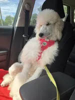 processed/ea27770b-90d5-4a13-9ef0-90eac914d33d/facility/2a0106c2-2dc0-4dfe-b0d1-b601a7582b06