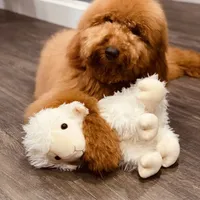 processed/ea27770b-90d5-4a13-9ef0-90eac914d33d/facility/430b0366-1867-4331-8333-9d6d3ac84415