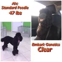 processed/ea27770b-90d5-4a13-9ef0-90eac914d33d/facility/61b04c56-ba2f-49bf-942a-33eb0e79f405