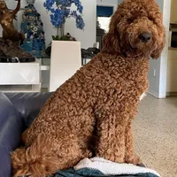 processed/ea27770b-90d5-4a13-9ef0-90eac914d33d/facility/b2337892-f9ea-40b5-b27b-a1801b5806a9